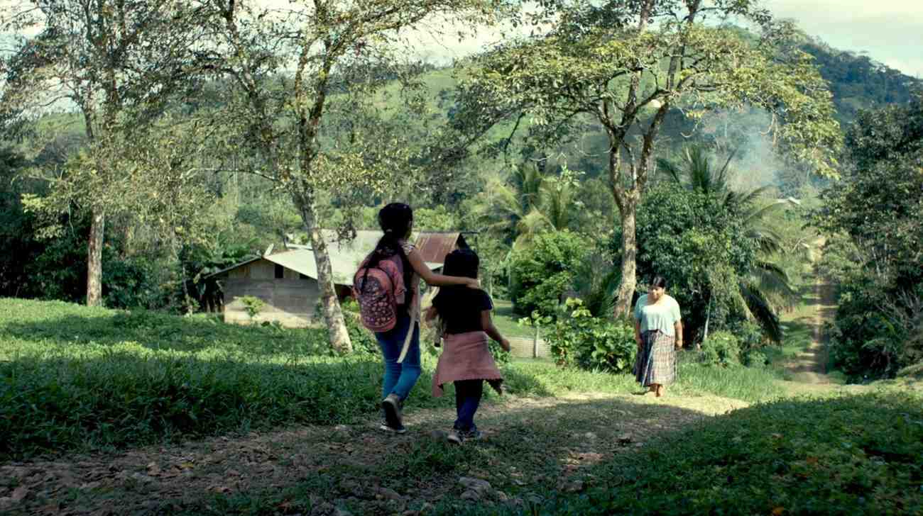 Yogi Tea - Cardamom - Image 1