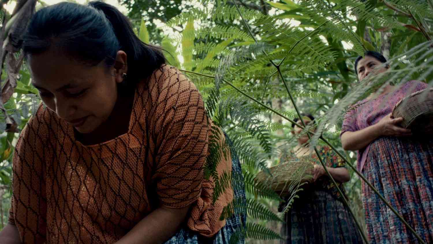 Yogi Tea - Cardamom - Image 4