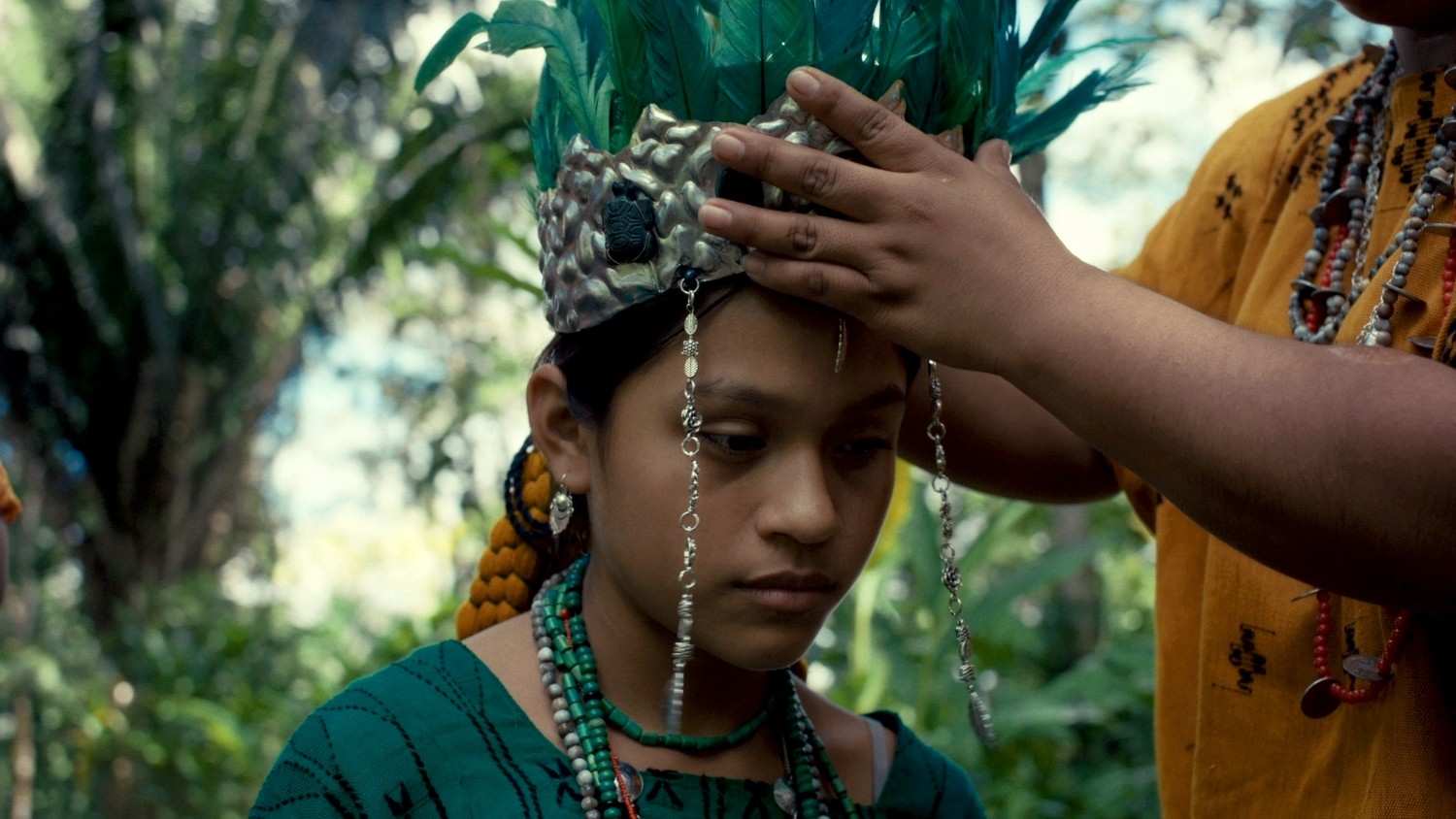 Yogi Tea - Cardamom - Image 5