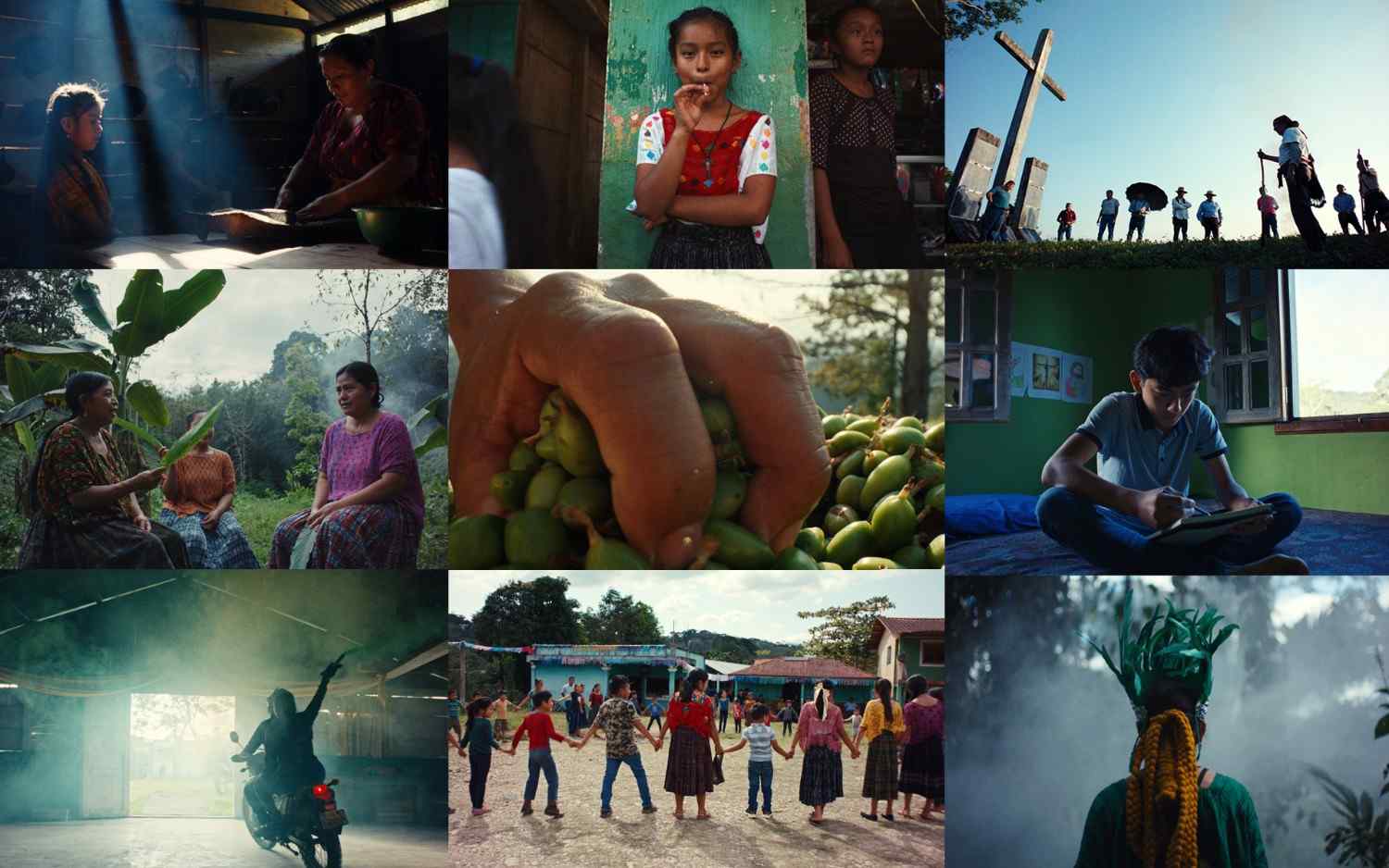 Yogi Tea - Cardamom - Image 6