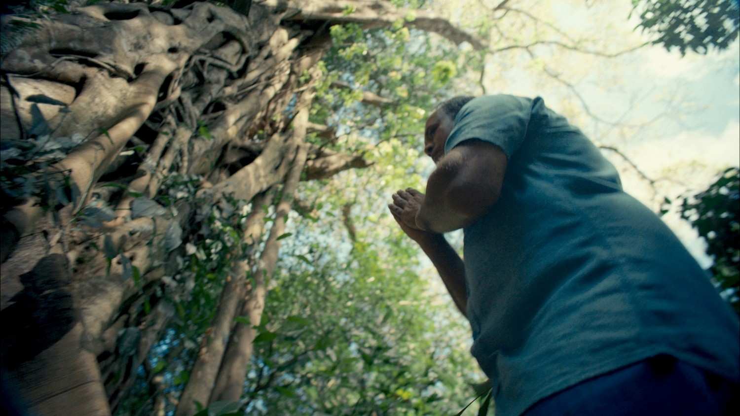 Yogi Tea - Cinnamon - Image 2