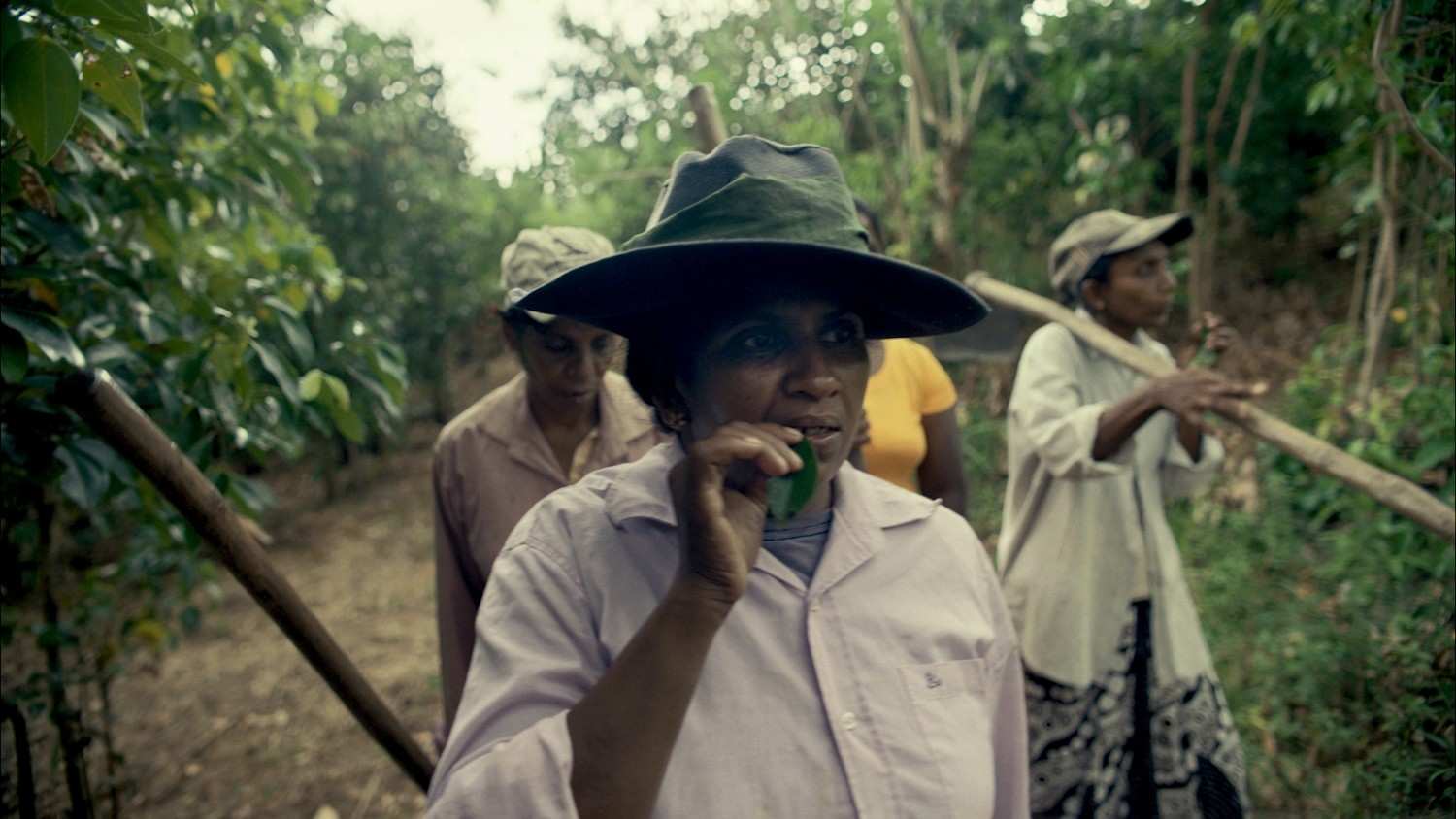 Yogi Tea - Cinnamon - Image 3