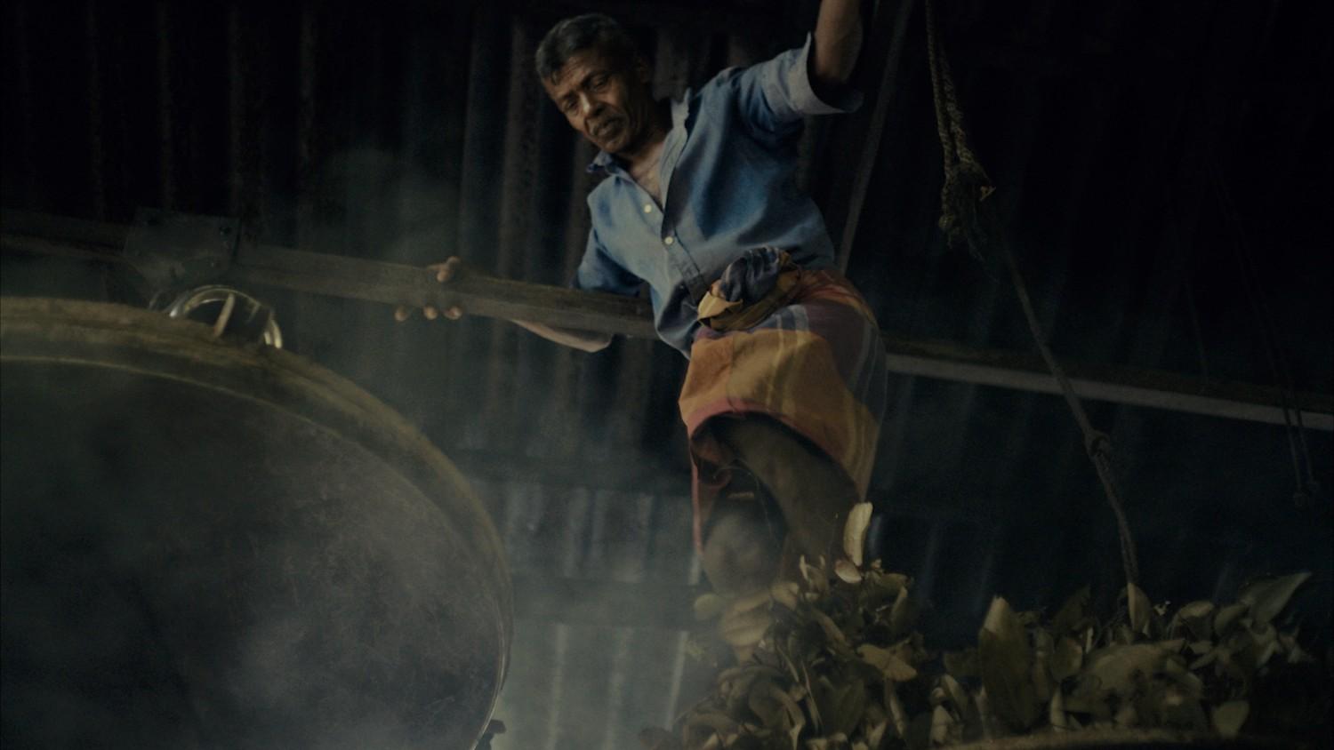 Yogi Tea - Cinnamon - Image 6