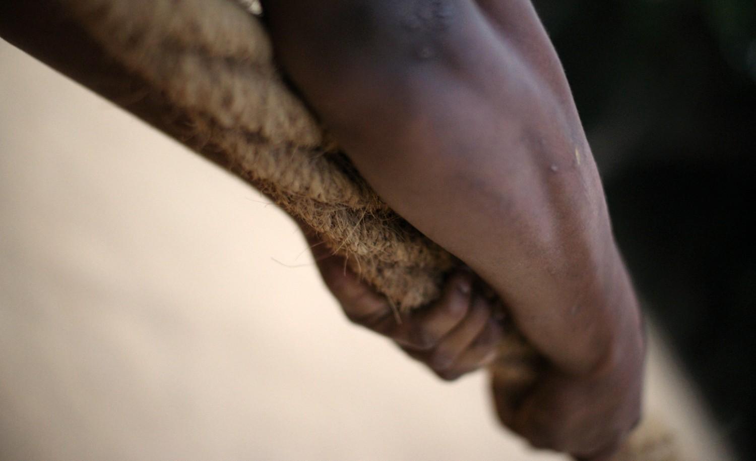 Yogi Tea - Ginger - Image 3