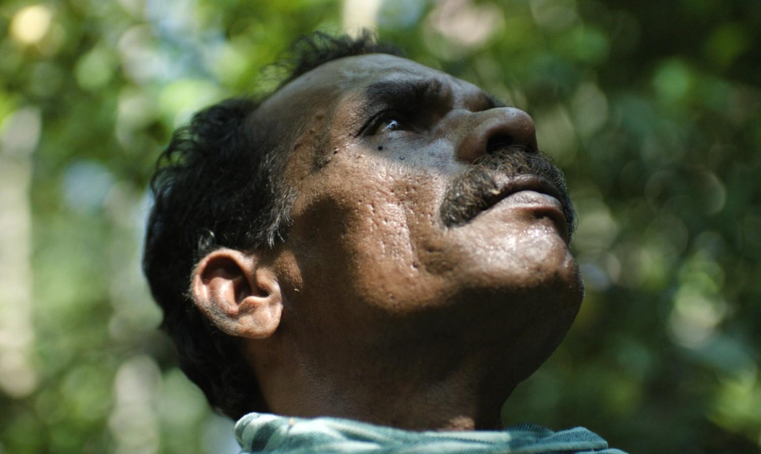 Yogi Tea - Ginger - Image 2