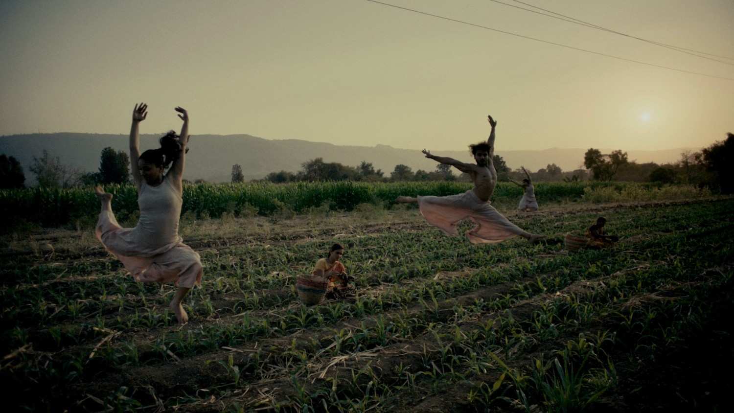 Yogi Tea - Ginger - Image 7