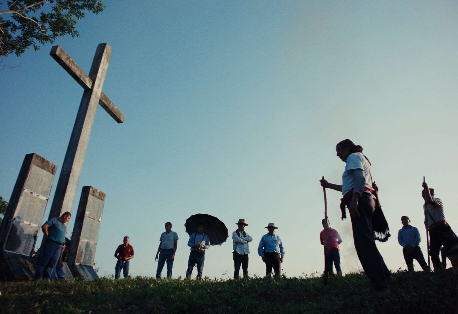 Yogi Tea - Cardamom - Image 10